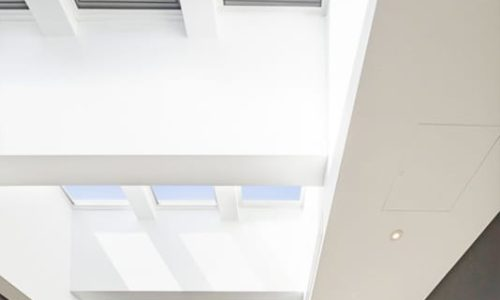 Velux Skylights