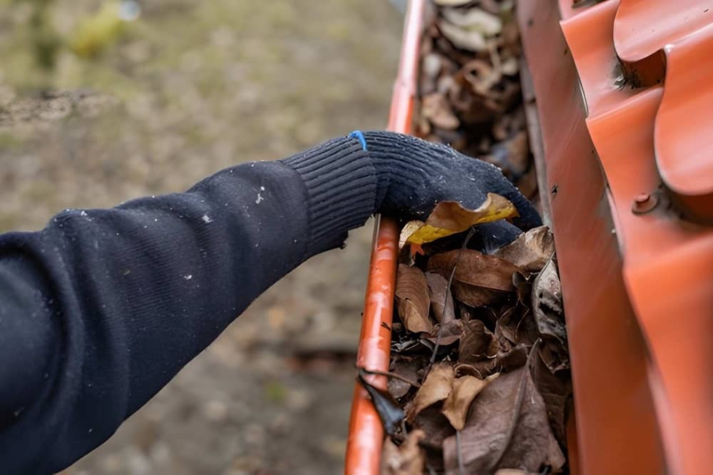 Remove Debris