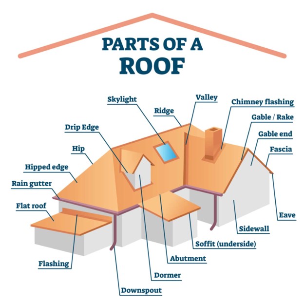 Parts of Roots